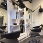Salon A.H. Effekt