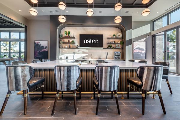 Aster by null