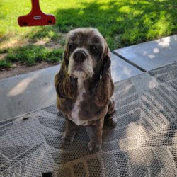AZ Mobile Spaws