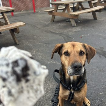 Lincoln Creamery - Ice Cream & Frozen Yogurt Near Me - Lincoln, Rhode Island
