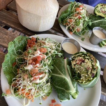 Happy Healthy Human Cafe - Taste tacos & collard green wraps - Juice Bars & Smoothies Near Me - Indian Harbour Beach, Florida Happy Healthy Human Cafe - Taste tacos & collard green wraps - Juice Bars & Smoothies Near Me - Indian Harbour Beach, Florida