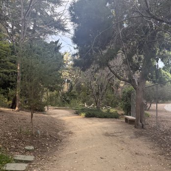 UCLA Mathias Botanical Garden - Botanical Gardens Near Me - Los Angeles, California