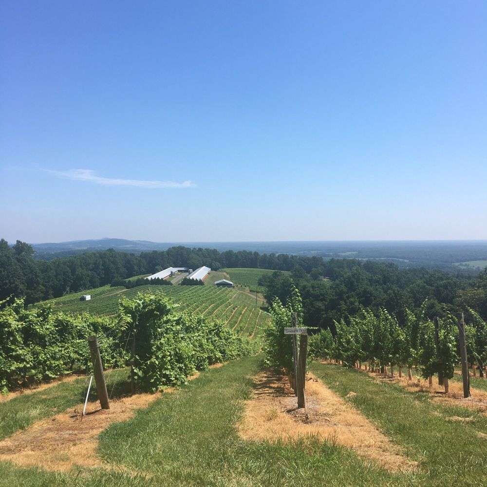 Honah Lee Vineyard - View from the top of the winery - Venues & Event Spaces Near Me - Gordonsville, Virginia Honah Lee Vineyard - View from the top of the winery - Venues & Event Spaces Near Me - Gordonsville, Virginia