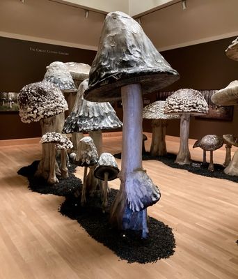 Florence Griswold Museum by null