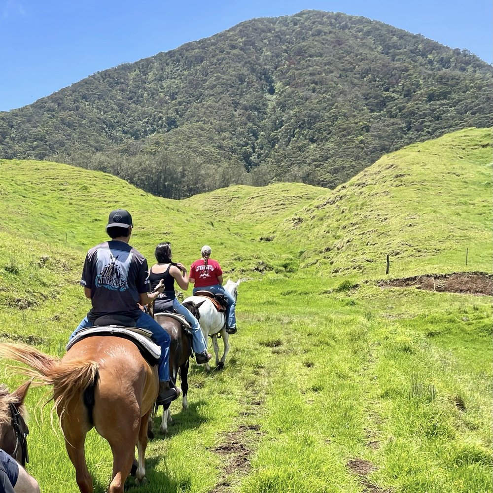 Na'alapa Stables - Horseback Riding Near Me - Kamuela, Hawaii Na'alapa Stables - Horseback Riding Near Me - Kamuela, Hawaii