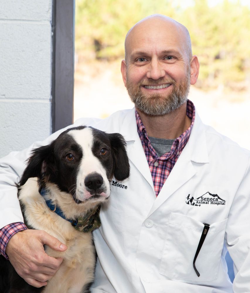 Seneca Animal Hospital Image