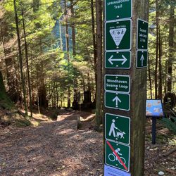 Belcarra Park - Another entrance to the swamp loop trail.