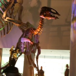 Naturalis Museum