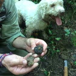 Savini Tartufi - Truffle, and Giotto smiling happy