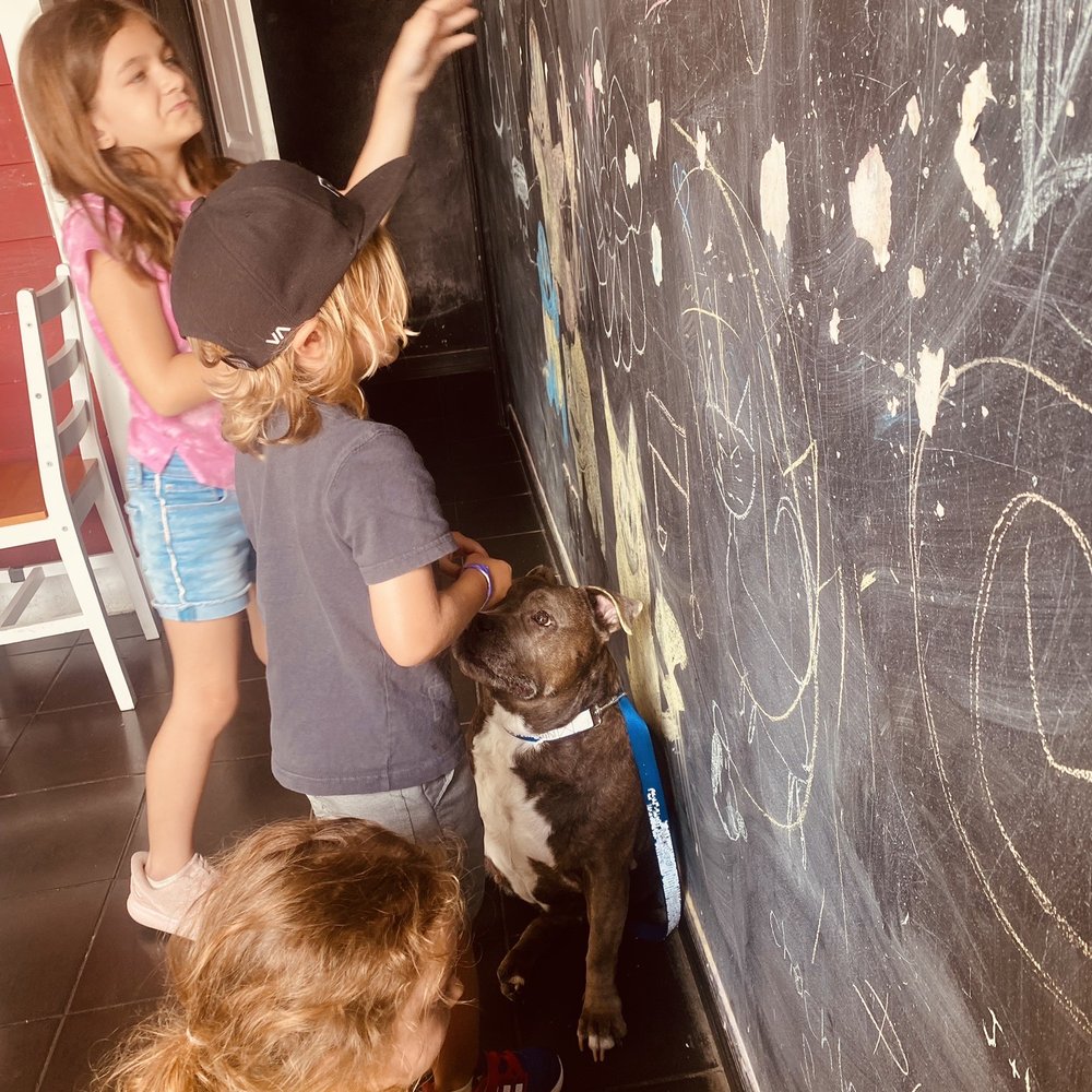 The Soda Fountain - Chalkboard fun - Ice Cream & Frozen Yogurt Near Me - Orlando, Florida The Soda Fountain - Chalkboard fun - Ice Cream & Frozen Yogurt Near Me - Orlando, Florida