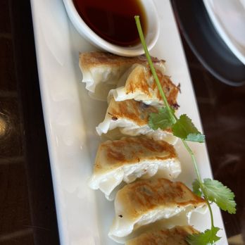 Otsuka Ramen - Gyoza - Ramen Near Me - Tampa, Florida