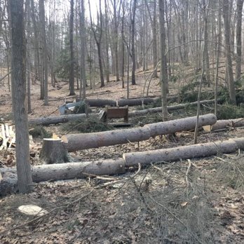 Tree Bros - Tree Services Near Me - Bloomfield, New York