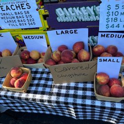 Freedom Farmer's Market
