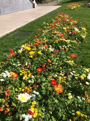 Reformation Wall by null