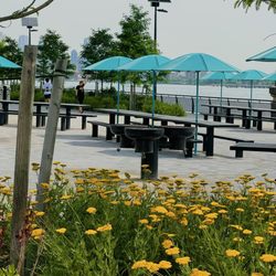 Bbq area