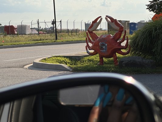 Stevensville Crab Shack by null