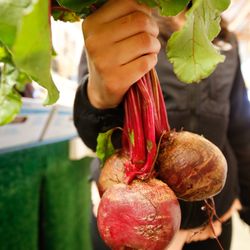Palombo Farms Market