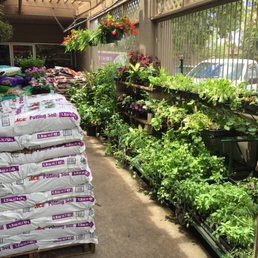 Garden center