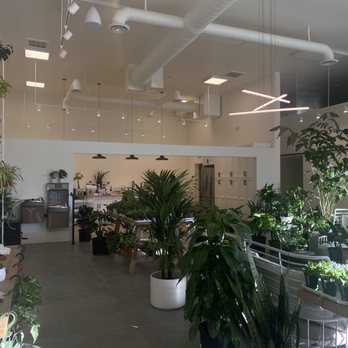 Plants by Post - Nurseries & Gardening Near Me - Campbell, California