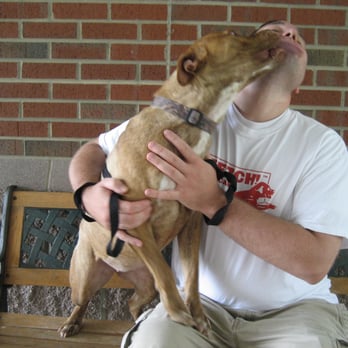 Fetch Pet Care - Dog Walkers Near Me - Burlington, North Carolina Fetch Pet Care - Dog Walkers Near Me - Burlington, North Carolina