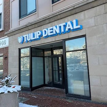 Tulip Dental - Endodontists Near Me - Maplewood, New Jersey Tulip Dental - Endodontists Near Me - Maplewood, New Jersey