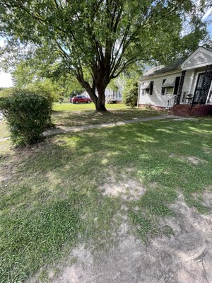 Tree Pruning, Trimming and Removal - From precise tree pruning and shaping to safe and efficient tree removal, our team ensures your property looks its best year-round. Trust us to keep your trees healthy, beautiful, and hazard-free.
Call today for a free estimate! Tree Pruning, Trimming and Removal - From precise tree pruning and shaping to safe and efficient tree removal, our team ensures your property looks its best year-round. Trust us to keep your trees healthy, beautiful, and hazard-free.
Call today for a free estimate!