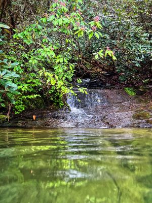 Eclectic Sun Paddlesports by null