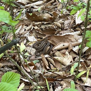 RIDLEY CREEK STATE PARK - Updated February 2026 - 955 Photos & 103