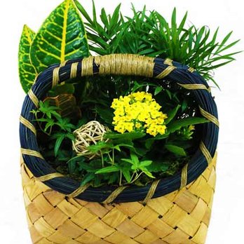 Catherine's Garden - This is what I ordered. - Florists Near Me - Oak Forest, Illinois