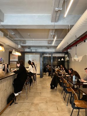 The Lost Draft by null