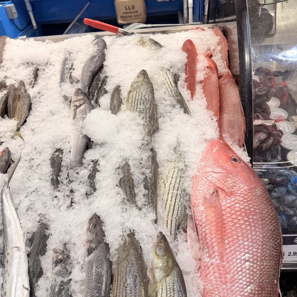 Enson Market - Fresh fish - Grocery Near Me - Savannah, Georgia
