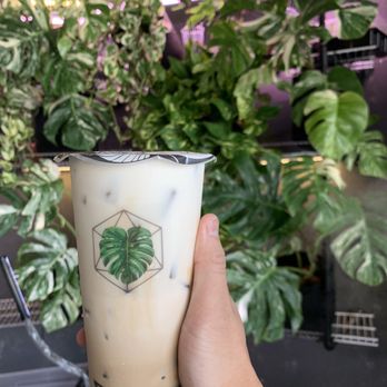 Monstera Boba Cafe - Good boba with monstera plants - Bubble Tea Near Me - Tujunga, California Monstera Boba Cafe - Good boba with monstera plants - Bubble Tea Near Me - Tujunga, California