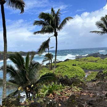 Hawaii by Storm - The Road to Hanna via Hawaii by Storm Private Tours - Tours Near Me Hawaii by Storm - The Road to Hanna via Hawaii by Storm Private Tours - Tours Near Me