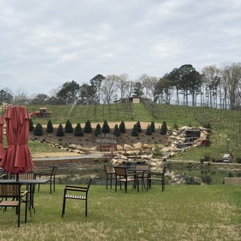 Big Door Vineyards - Everything is in bloom - Wineries Near Me - White, Georgia