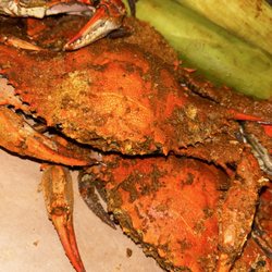 Steamed crabs and corn