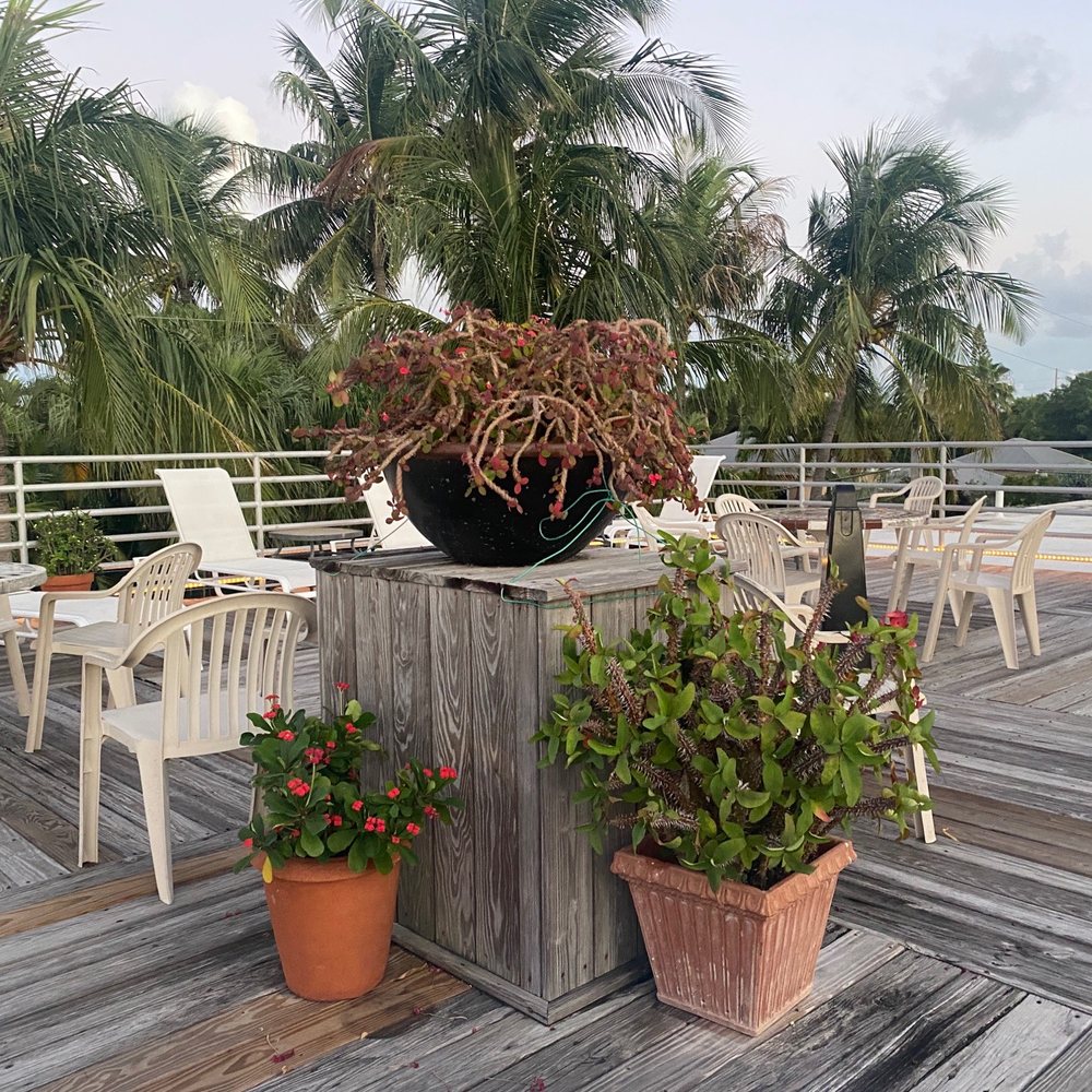 El Patio Motel - Rooftop - Hotels Near Me - Key West, Florida El Patio Motel - Rooftop - Hotels Near Me - Key West, Florida