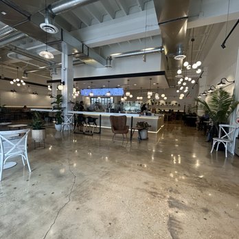 Underdog Coffee & Bread - Seating at front entrance and counter - Coffee & Tea Near Me - Falls Church, Virginia