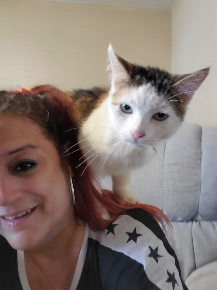 FOXY DOG GROOMING Updated August 2024 26 Photos Leavenworth