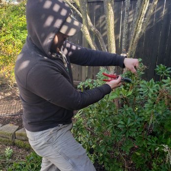 Dreams Come True Landscape - Trimming bushes by hand. - Fences & Gates Near Me Dreams Come True Landscape - Trimming bushes by hand. - Fences & Gates Near Me