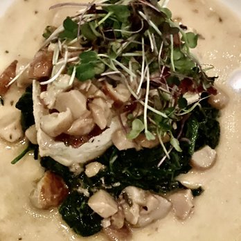 Gallo Ristorante - Halibut spinach mushroom. Super tasty & healthy - Italian Near Me - Ridgefield, Connecticut Gallo Ristorante - Halibut spinach mushroom. Super tasty & healthy - Italian Near Me - Ridgefield, Connecticut