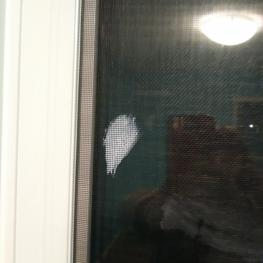 The Repaint Guys - Paint on one of two window screens - Painters Near Me - Edmonton, Alberta The Repaint Guys - Paint on one of two window screens - Painters Near Me - Edmonton, Alberta