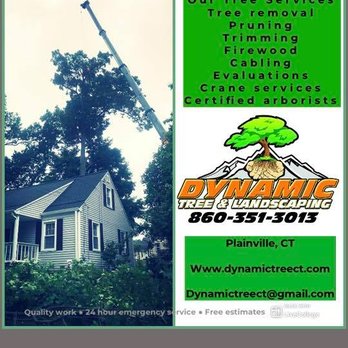 Dynamic Tree Service - Tree Services Near Me