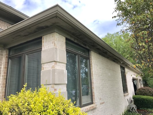 NORTHSIDE WINDOW & GUTTER CLEANING - Updated January 2025 - 51 Photos