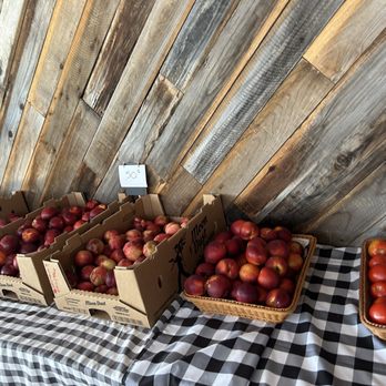 Moon Dust Farms - Fruits & Veggies Near Me - Stockton, California Moon Dust Farms - Fruits & Veggies Near Me - Stockton, California