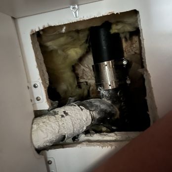 Elite Rooter - Updated November 2025 - 57 Photos - 131 Reviews - 4893 ...