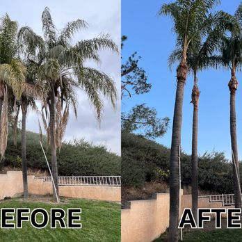 Ceron Landscaping - Tree Services Near Me Ceron Landscaping - Tree Services Near Me