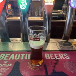 The Green Linnet - My favorite beer on tap!