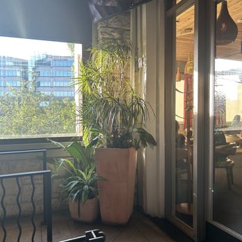 Bulevar Mexican Kitchen - Mexican Near Me - Austin, Texas Bulevar Mexican Kitchen - Mexican Near Me - Austin, Texas