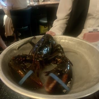 Pappadeaux Seafood Kitchen - FRESH Live Maine Lobster - Seafood Near Me - Phoenix, Arizona Pappadeaux Seafood Kitchen - FRESH Live Maine Lobster - Seafood Near Me - Phoenix, Arizona