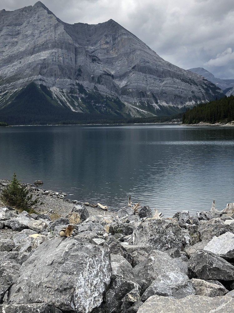 INTERLAKES CAMPGROUND Updated August 2024 highway 40, Kananaskis